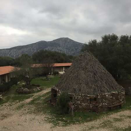 Villa Turismo Rurale Su Cuile Dorgali Exterior foto
