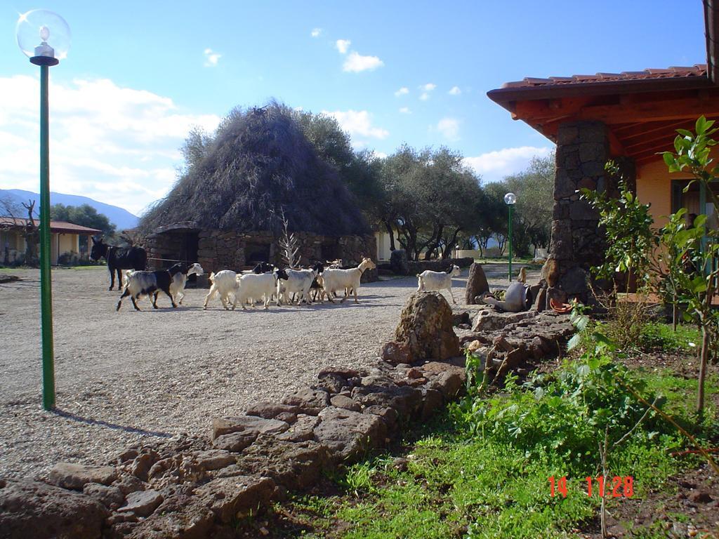 Villa Turismo Rurale Su Cuile Dorgali Exterior foto