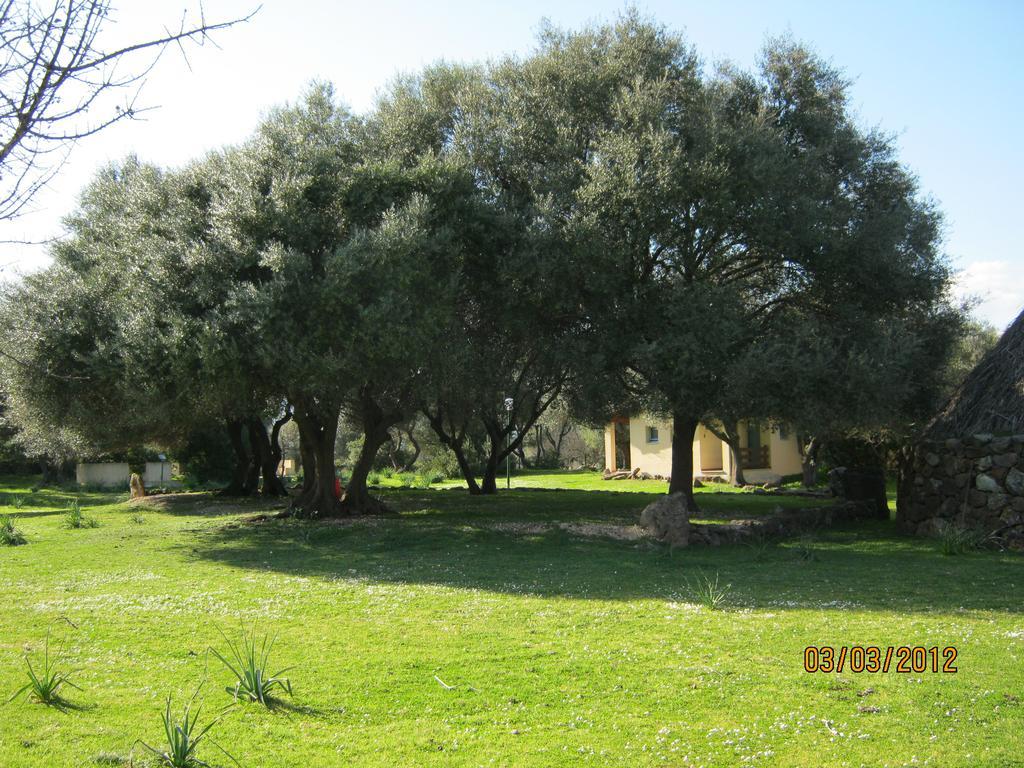 Villa Turismo Rurale Su Cuile Dorgali Exterior foto