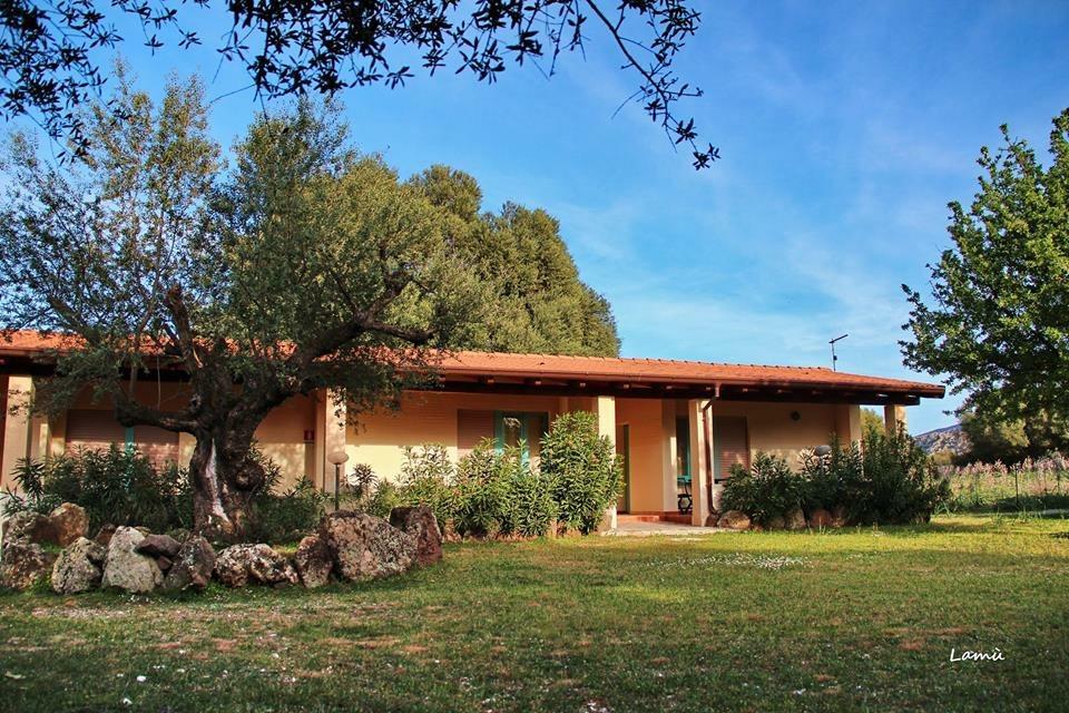 Villa Turismo Rurale Su Cuile Dorgali Exterior foto