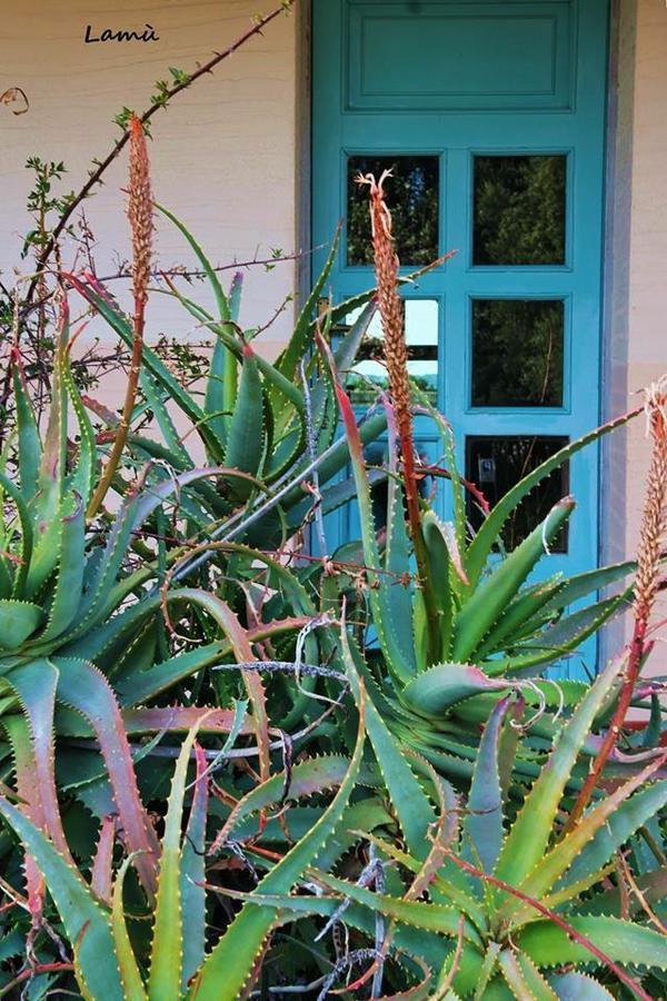 Villa Turismo Rurale Su Cuile Dorgali Exterior foto
